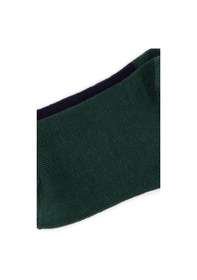 Resim U.s. Polo Assn. Erkek Çocuk Lacivert Çorap Soket 50318056-vr033 Lacıvert 