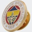 Resim Sarı Fenerbahçe 1,5 Cm Logo Mineli Rozet - Sarı / Standart 