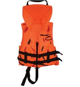 Resim Çocuk Can Yeleği 2 4 Yaş 