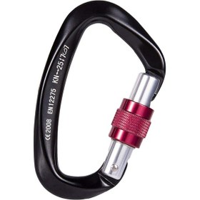 Resim Dolıty D Şekilli Karabina Tokası Rappelling Siyah 