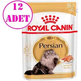 Resim Royal Canin Persian Kedi Maması 12 x 85 G 