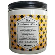 Resim Davines - the renaissance circle yıpranmış saçlar için onarıcı bakım maskesi 750 ml 