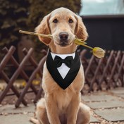 Resim Köpek Smokin, Resmi Köpek Düğün Bandanası, Papyonlu Köpek Tasması, Köpek Doğum Günü Kostümü, Ayarlanabilir Evcil Hayvan Parti Smokin Köpek Düğün Kıyafeti, Küçük Orta Büyük Evcil Hayvanlar için Sevgililer Günü Kostümü 