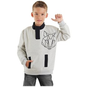 Resim Denokids Mshb&g Kurt Erkek Çocuk Sweatshirt - Gri 