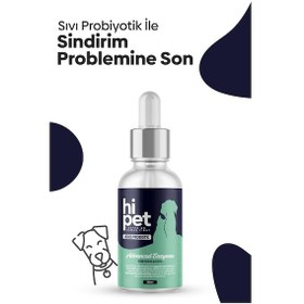 Resim Hipet Sıvı Probiyotik Köpek Probiyotik 50 ML 