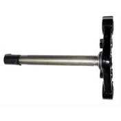 Resim Alt Platin 125 Mc Mondial 