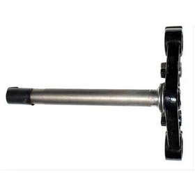 Resim Alt Platin 125 Mc Mondial 