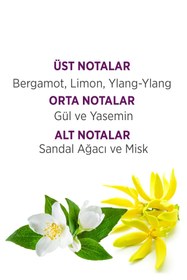 Resim Bellisima Parfüm Edt 60 ml + Deodorant 150 ml + Arko Nem Krem Kadın Parfüm Seti 507638-H 