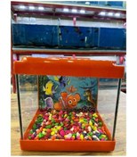 Resim Canlipetshop Turuncu Renkli Mini Kare Akvaryum 20x20x15 CM 