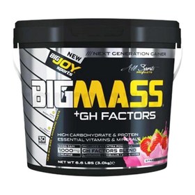 Resim BigJoy Sports Bigmass GH Factors Çilek 3 kg 