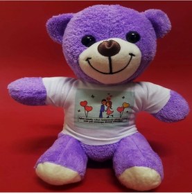 Resim Mutlu Aşıklar Temalı Peluş Ayıcık Çok Renkli 