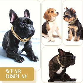 Resim 1 adet Kübik Zirkonya ile Şık Köpek Zinciri Kolye - Küçük ve Orta Irklar için Metalik Altın Zincirli Yaka, Evcil Hayvan Aksesuarları | Moda Köpek Yaka | Dayanıklı Köpek Yaka, Köpek Aksesuarları 