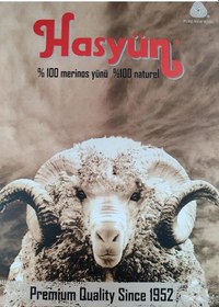 Resim Hasyün Erkek %100 Yün Uzun Don İçlik 1001e - 1 Adet Ekru 