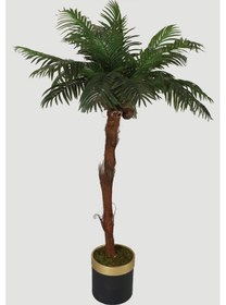 Resim Büyük Metal Saksıda Dev Palmiye Ağacı 220 Cm 20 Yapraklı 