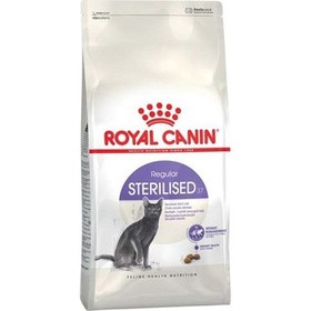 Resim Royal Canin Sterilised 37 Kısırlaştırılmış Yetişkin Kedi Kuru Maması 10 kg 