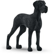 Resim Schleich Danua 13962 