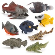 Resim Deniz canlılarının simülasyonu Balık Kabağı balığı bambu köpekbalığı Leopar köpekbalığı Dikenli kuyruklu balık Dunn balığı modeli deniz tabanı 