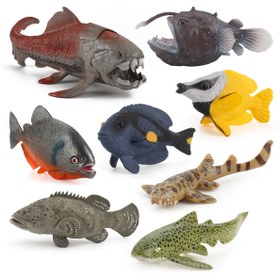 Resim Deniz canlılarının simülasyonu Balık Kabağı balığı bambu köpekbalığı Leopar köpekbalığı Dikenli kuyruklu balık Dunn balığı modeli deniz tabanı 