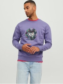 Resim Jack&jones Sıfır Yaka Mor Erkek Sweatshirt 12242366 001 