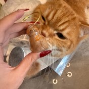 Resim 1/6 Paket Şeffaf Kedi Anı Kapları Sevimli Yüz Tasarımı ve Asma Döngüsü ile - Evcil Hayvan Kaybı için Güvenli Ambalaj, Güvenli ve Uzun Süreli Duygusal İyileştirme, PVC Malzeme, Kedi Severler ve Ağırlayan Aileler için İdeal, Kedi Severleri Hediye 