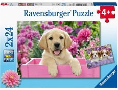 Resim Ravensburger 2x24 Parça Puzzle Friends 050291 