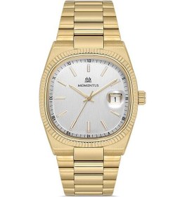 Resim Cm262g-02sg Momentus Erkek Kol Saati Metalik 