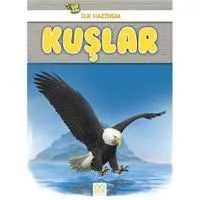 Resim İlk Hazinem - Kuşlar 