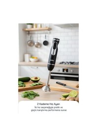 Resim Sinbo SHB-7513 500 W Paslanmaz Çelik Bıçaklı El Blenderı 
