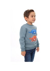 Resim Toontoy Kids Toontoy Erkek Çocuk Relax Fit Bisiklet Yaka Baskılı Sweatshirt - 2iplik Mint 