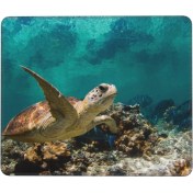 Resim Xiaoai Deniz Kaplumbağası Mouse Pad 7x8.6 Inç Kaymaz Ka Tabanlı Kablosuz Fare Bilgisayarlar Dizüstü Ofis Için Dayanıklı Malzemeler (Yurt Dışından) 