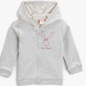 Resim Kız Bebek Fermuarlı Kapüşonlu Sweatshirt Uzun Kollu 