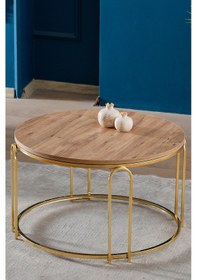 Resim Lenka Orta Sehpa Yuvarlak Ahşap Gümüş Metal Açık Ceviz Ahşap - Sedaş-lenka-orta-gold Açık Ceviz 