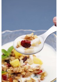 Resim 304 Çelik 12 Adet 9 Cm Mini Tatlı Dondurma Baharat Kaşığı Cin752by-12 Gri 