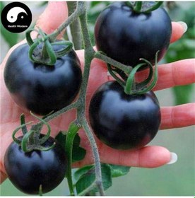 Resim 5 Adet Nadir Siyah Domates Tohumu + Sebze Tohumu 