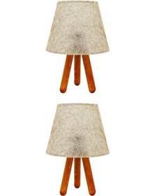 Resim 2'li Akel Tripod Abajur Altın 