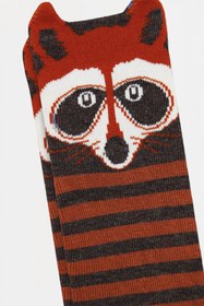 Resim MEM SOCKS 6'lı 3d Rakkun Desenli Çocuk Soket Çorap 
