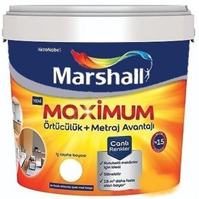 Resim Marshall Maximum Silikonlu Ipek Mat Boya - Yeni Gri Kayrak 