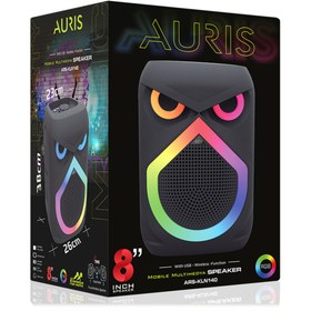 Resim Auris KLN140 25W 8 inç Mikrofonlu RGB Bluetooth Hoparlör 