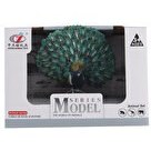 Resim Animal World Tavus Kuşu 