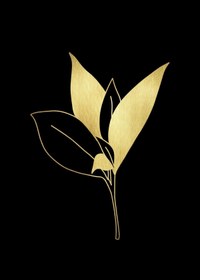 Resim Harika bir ev |gold-siyah Çiçek Kombini 03|pleksi Çerçeveli Mdf Tablo 3dky 