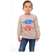 Resim Toontoy Erkek Çocuk Nakışlı Sweatshirt Bej 
