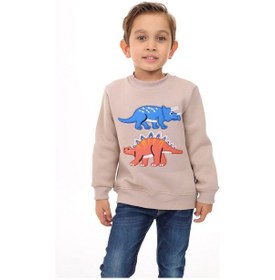 Resim Toontoy Erkek Çocuk Nakışlı Sweatshirt Bej 