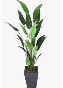 Resim Antrasit Saksıda Yapay 22 Yapraklı Starliçe Ağacı 200 Cm 