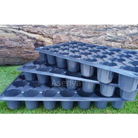 Resim Fide Viyolü 4 Adet 28 Göz Fide Viyol Fidelik Fide Kabı 