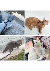 Resim Kedi Göğüs Tasma Düz Renk 1x120 CM 