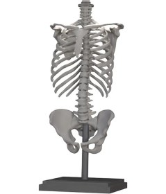 Resim Noxira İskelet Formlu Dekoratif Lamba Gövdesi Açık Gri 