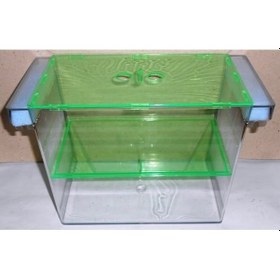 Resim Kardelen Dev Balık Yavruluk 