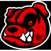 Resim Kızgın Bulldog Sticker 10X10 Cmrenkli Sticker 