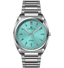 Resim Momentus Em340s-10ss Erkek Kol Saati Metalik Gri 