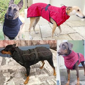 Resim Su Geçirme Reflektörlü Kışlık Köpek Montu - Sıcak Tutan Yelek Yağmurluk 52887 - Kırmızı / L 